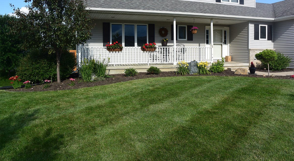 Lawn Care