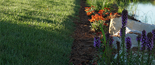 Landscaping and fresh cut lawn